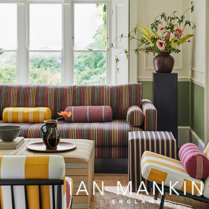 Link to Ian Mankin website